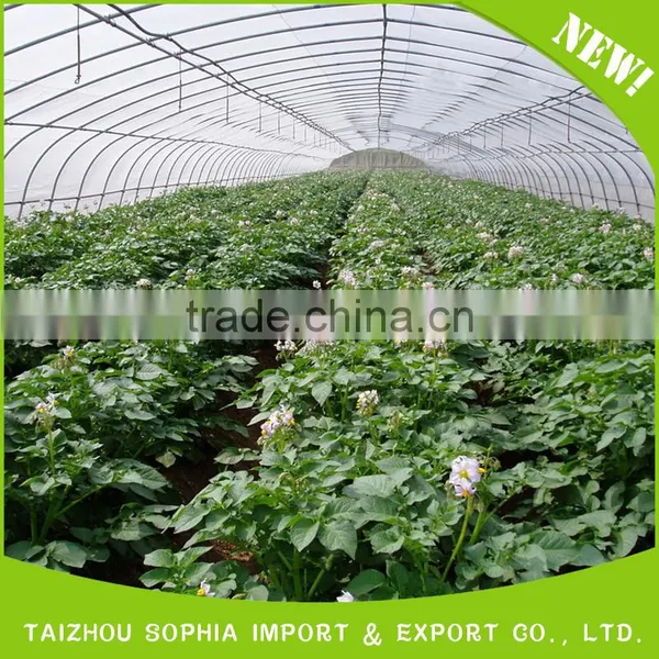 2016 High Quality Popular pe Protective Film Greenhouse