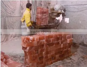 Himalaya Rock Salt Brick photo-6