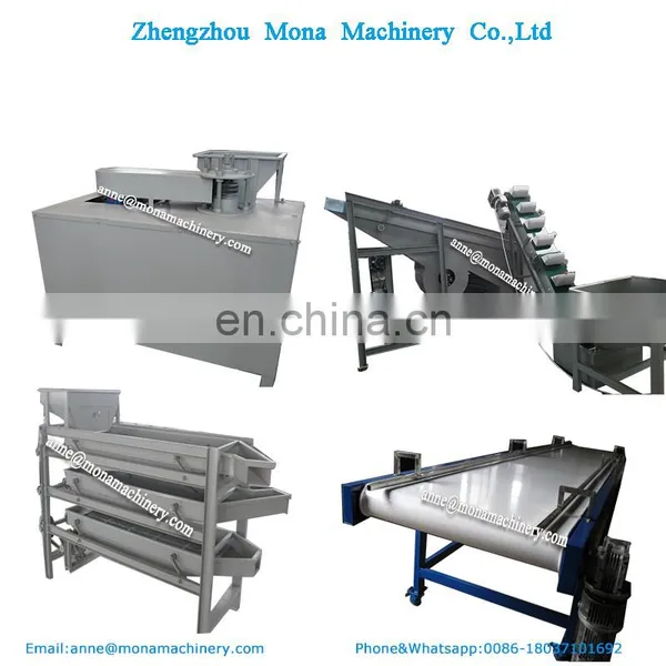 Walnut Cracking Processing Line | Walnut Nuts Shelling Machine In United States photo-6