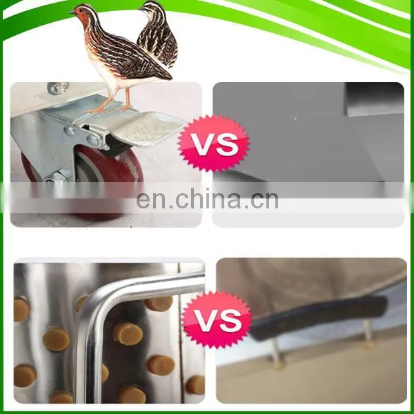Poultry Hair Removal Machine / Plucking Machine / Bird/quail/chicken/ Sparrow Feather Plucker photo-5