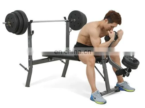 Vivanstar Hot Sale ST6683 Commercial Exercise Bench Home Gym Equipment Adjustable Weight Bench photo-5