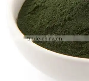 Organic Spirulina Powder for Sale