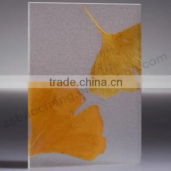 Newest Eco-Friendly Sliding Translucent Petg Partition Panel photo-3