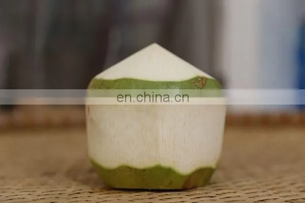 Coconut Vietnam High Quality Competitive Price photo-3