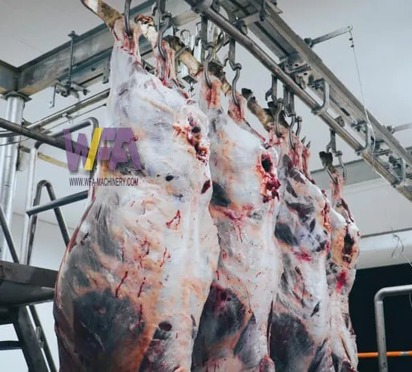 Freely Design Complete Cow Slaughter Line Equipment of Turnkey Project Solution Cattle Abattoir Machine photo-4