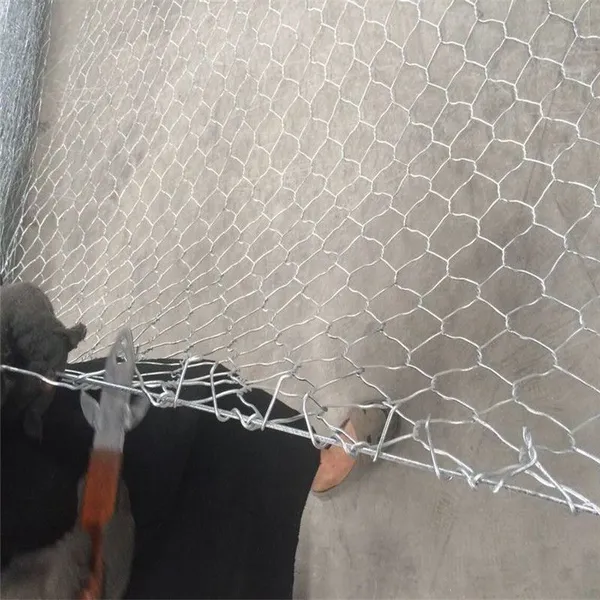 Customized PVC Coated Gabion for Erosion Control 60*80mm Mesh Size photo-5