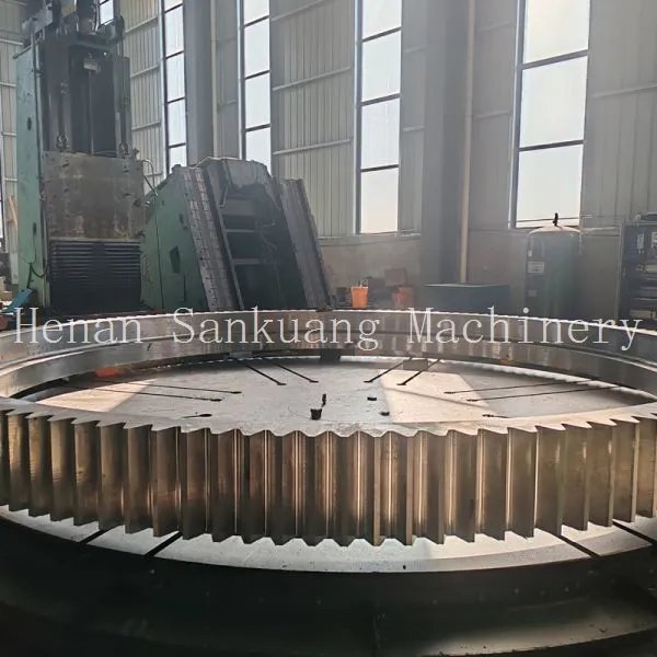 Cast Steel Heavy Duty Girth Gear for Ball Mill Rotary Kiln Transmission photo-2