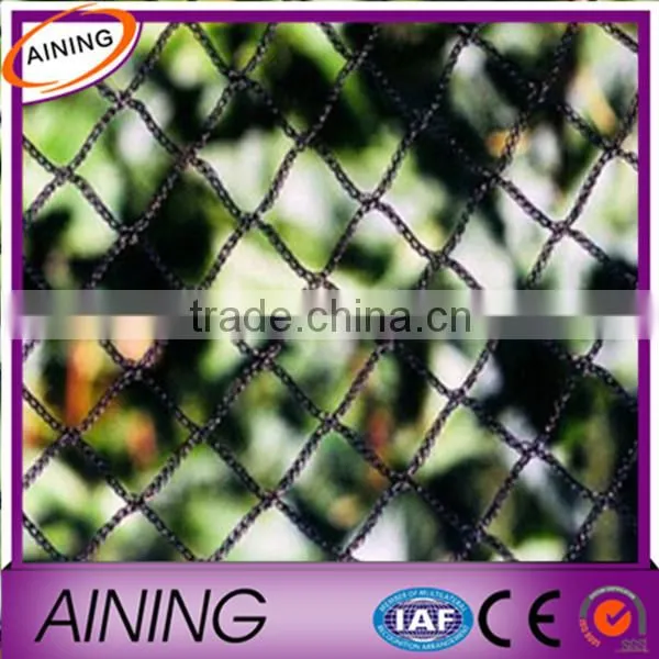 Hot! Nylon Net To Catch Birds & HDPE Anti Bird Net photo-3