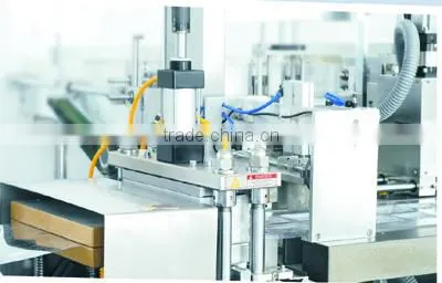 DHC-250P Injection Blister Packing Cartoning Packaging Line(Horizontal Loading) photo-4
