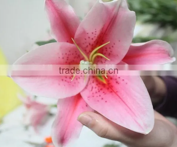 Most Popular Best Selling Lilies Real Touch photo-3