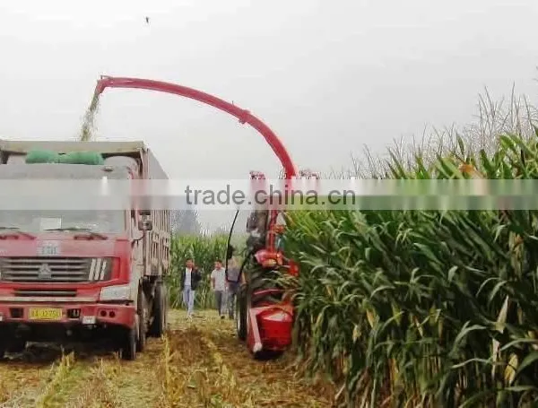 Elephant Grass Silage Harvester, Oat Forage Harvester photo-3
