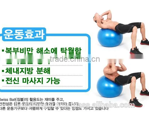 Gym Ball Swiss Ball/ Gym Equipment/ Rack photo-3