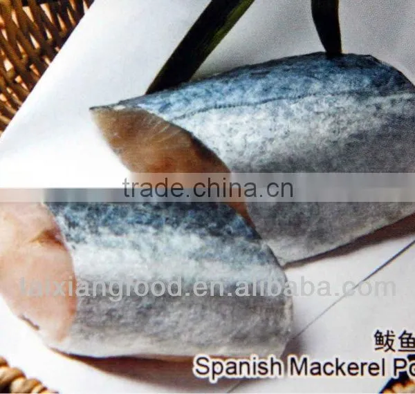 Spanish Mackerel Fillet photo-2