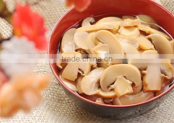 3000g Western Dedicated China Tasty Canned Mushroom