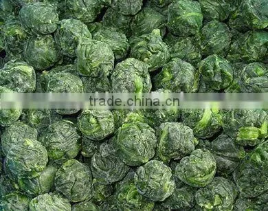 Frozen Spinach Ball Spinach Block photo-2
