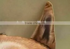 Vietnam Auto Parts Car Head Pillow photo-5