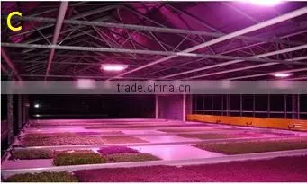 Agriculture Product t8 Led Tube Grow Light Plant Grow Lights 5-15watt Cob Led Grow Lights photo-5