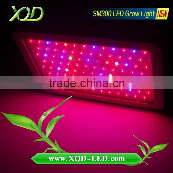 Grow Led Lights 300w Blue Red Dual Spectrum Plant Grow Lamps photo-3