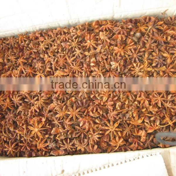AUTUMN CROP STAR ANISEED (skype:tuanminhco)
