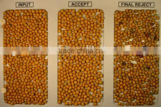 Kidney Beans Ccd Camera Color Sorter Machine photo-3