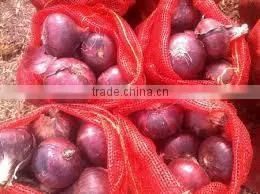 Bulk Red Onion From Egypt photo-5
