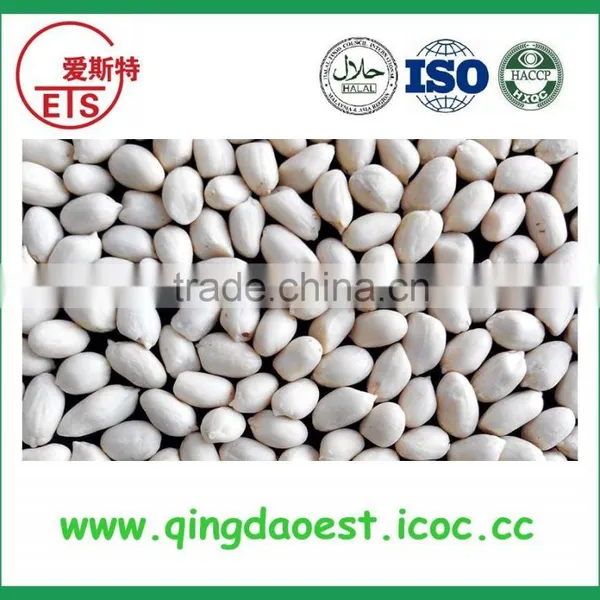 Blanched Peanut Kernel in Peeled Processing photo-5