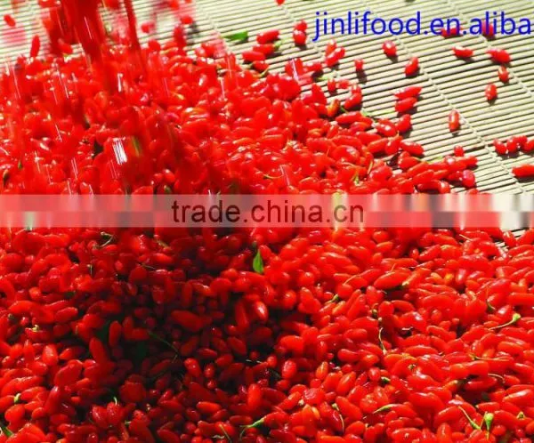 Certificated 2015 New Crop China Organic and Conventional Goji Berry for Sale photo-3
