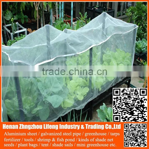 Plastic Agriculture pe Anti-insect Net , Hdpe Greenhouse Insect Net , Nylon Insect Net With Low Price photo-6