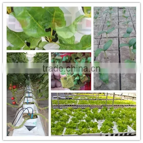 1 Inch 60kg/m3 Rockwool for Hydroponics Grow Plant photo-5