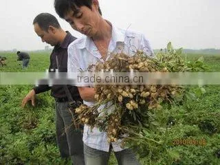 Chitosan for Agriculture Plant Soil Regulator and Root Promotor photo-3