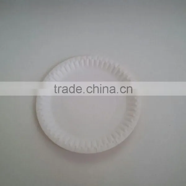 White Printed Paper Plate photo-6