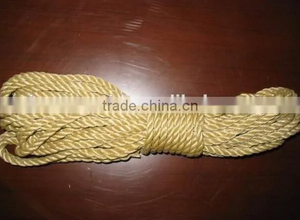 Top Supplier Best Quality Plastic Rope Machine photo-4