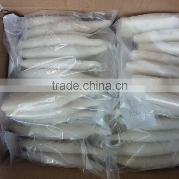 Squid Tube of Japanese Squid