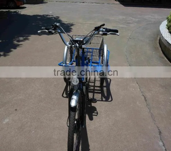 Danish Three Wheel Pedal Assisted Cargo Electric Bike for Sale photo-4