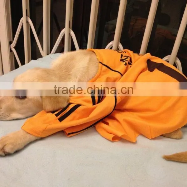 2016 DESIGNER NEW FASHION PET APPARELS photo-4