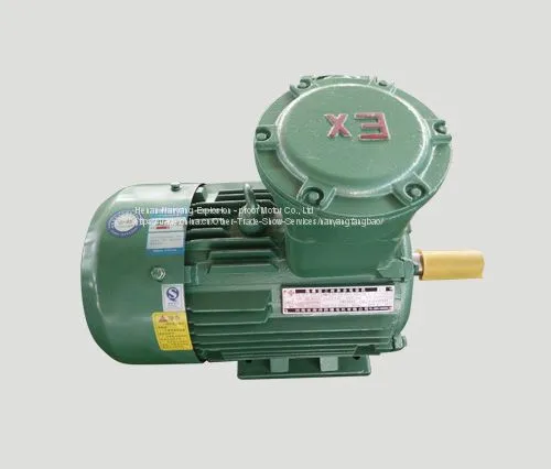HenanTYBPE (X)-DIIBT4Characteristics of Rare Earth Permanent Magnet Explosion - Proof Motor