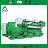 10KW Popular New Energy Biogas Generator photo-2