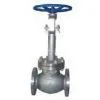 Cryogenic Globe Valve