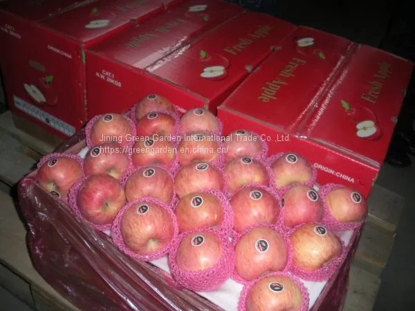 Chinese Fuji Apple photo-3
