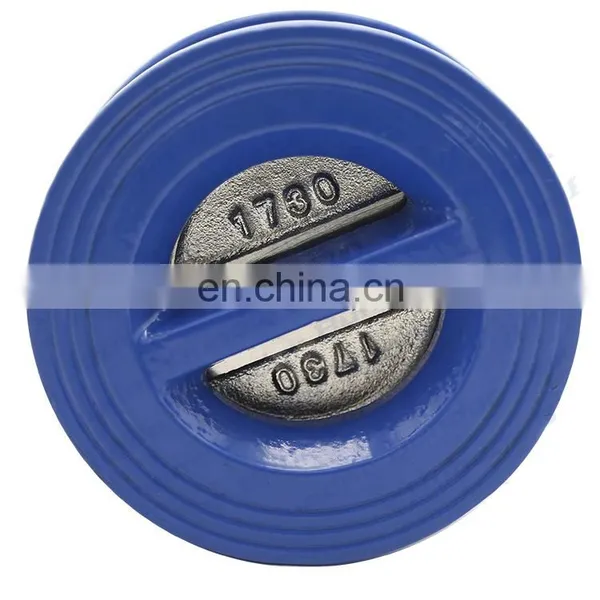 Bundor One Way Check Valve 8 Inch Non-Return Valve HT200 photo-4