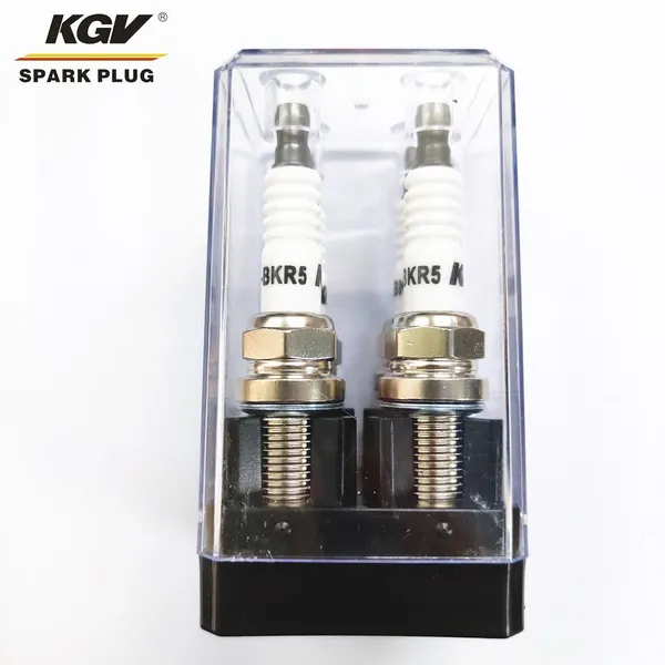 Hot Sell Moto Auto Spark Plug for Auto Moto photo-2