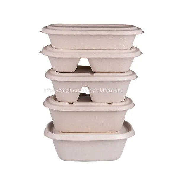 Disposable Biodegradable Bagasse Sugarcane Pulp Bento Box 1000ml 2- Compartment Container photo-3