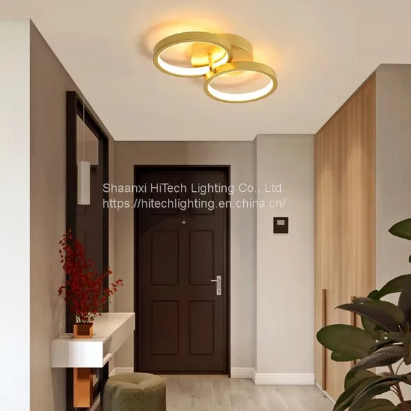 Golden Acrylic Aluminum Aisle Ceiling Lamp For Cloakroom Corridor Balcony Foyer Lighting Thin Lights Home Lustering Luminaire photo-5
