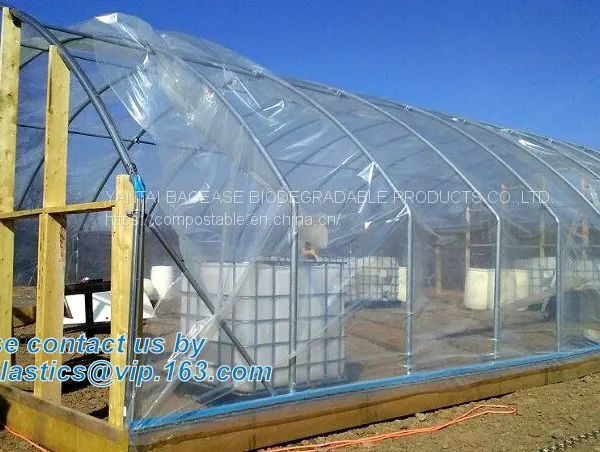 Plastic Film Agriculture Greenhouse,6 Mil Poly Anti-uv Plastic Greenhouse Film,Anti-fog UV Resistant,mushroom,TOMATO PAC photo-3