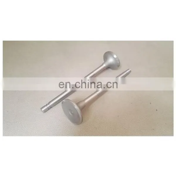 Original Engine Parts Intake Valve 150288 for NH220 photo-2