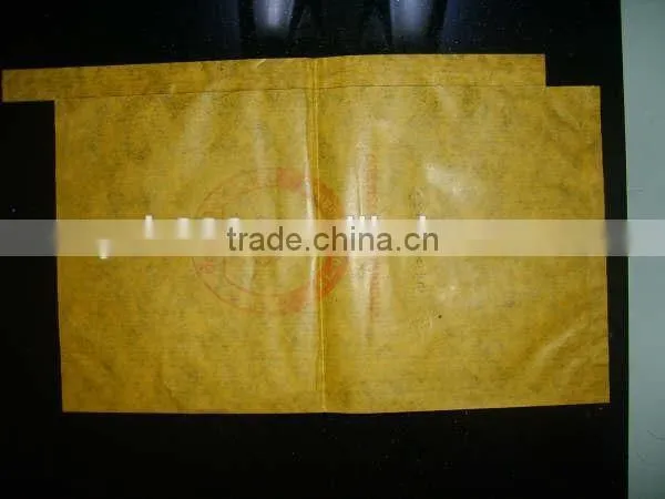 Malaysia Vietnam Sri Lanka Kraft Paper Mango Protection Bag photo-3