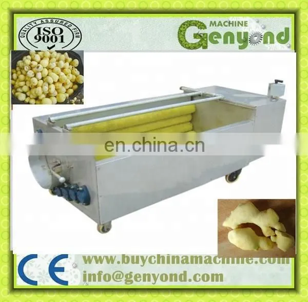 Root Vegetable Ginger Potato Peeling Machine photo-4