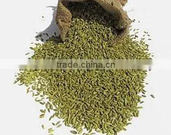 Admixture 1%max, 2010new Crops, Cumin Seed photo-2