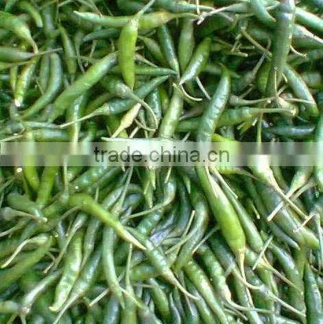 Fresh Green Chilli