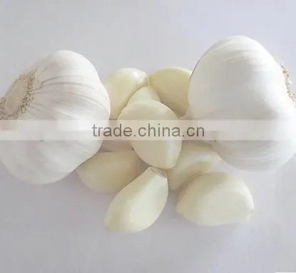 2016 NEW CROP GARLIC photo-3